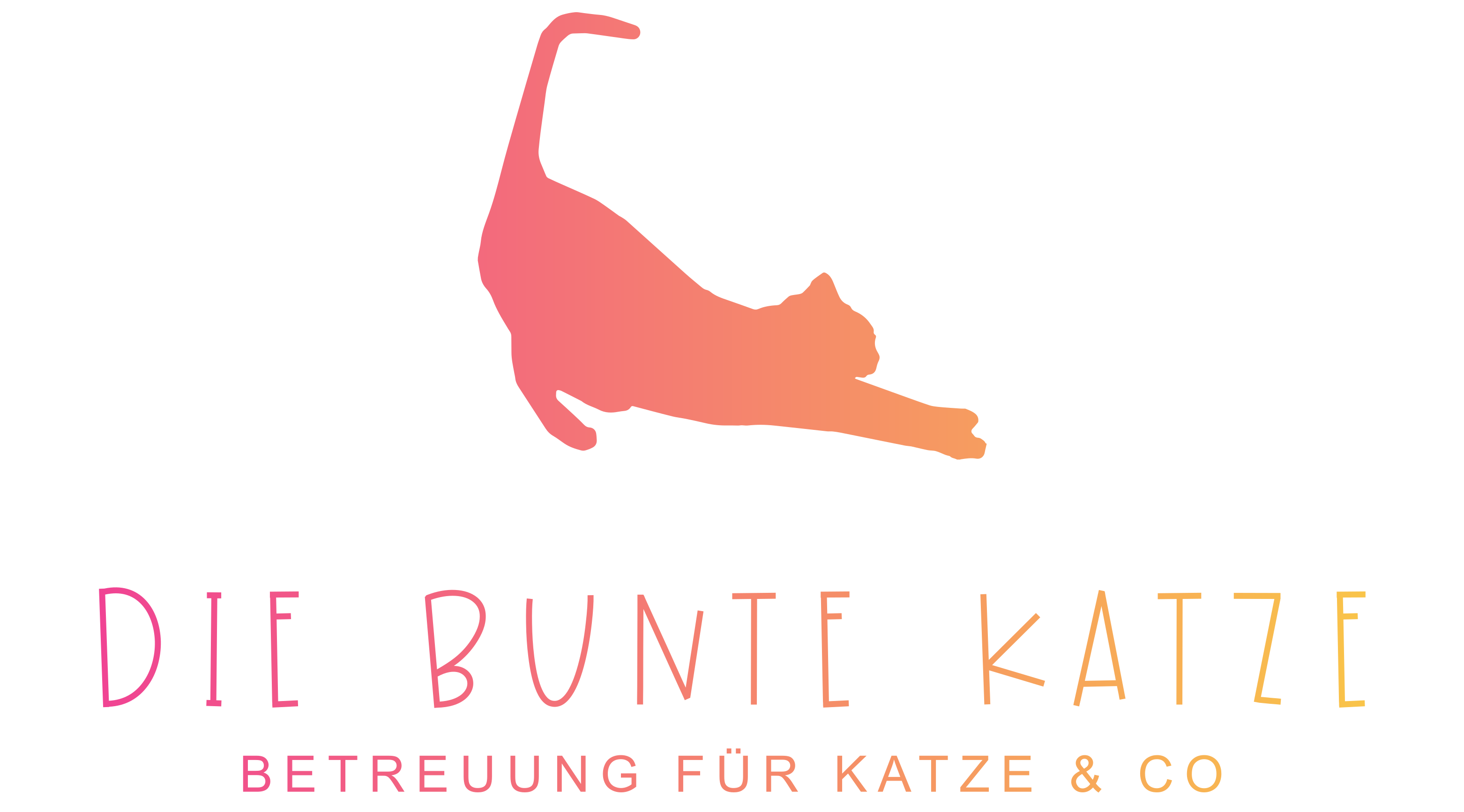 Die Bunte Katze